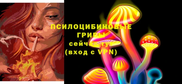 марки lsd Новозыбков