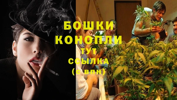 марки lsd Новозыбков