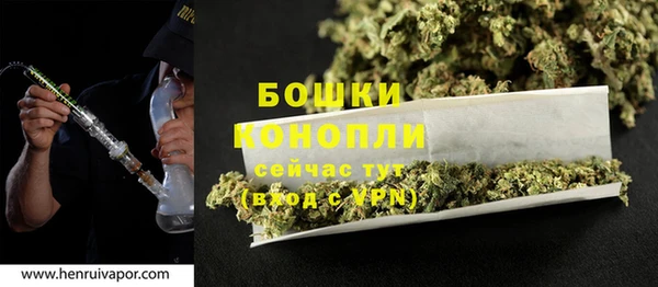марки lsd Новозыбков
