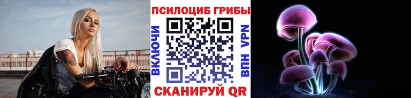 Галлюциногенные грибы Psilocybine cubensis  Купить  Сольвычегодск 