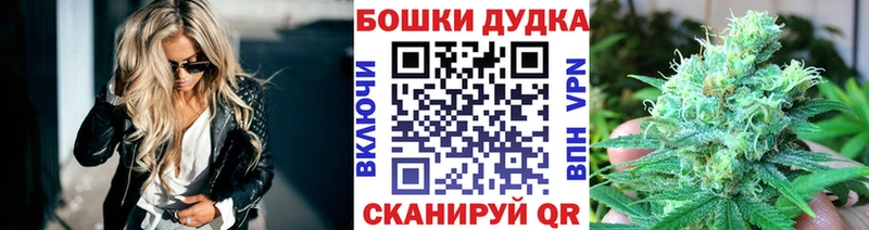 Купить  Сольвычегодск  Конопля SATIVA & INDICA 